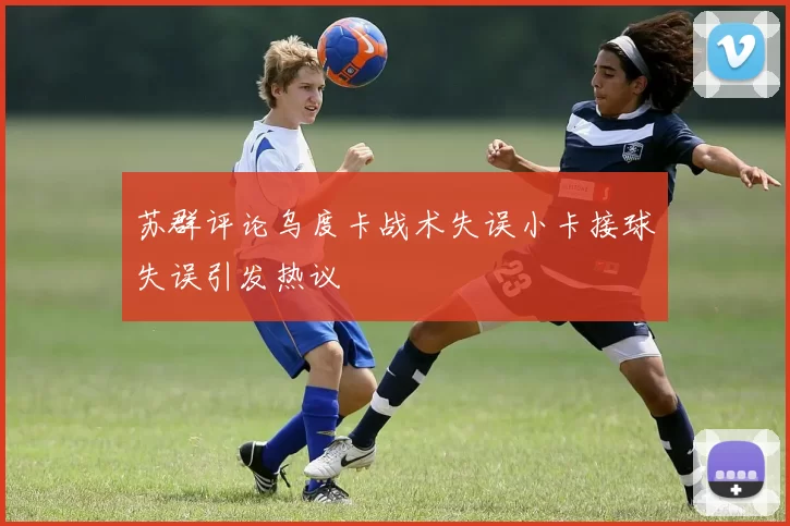 苏群评论乌度卡战术失误小卡接球失误引发热议